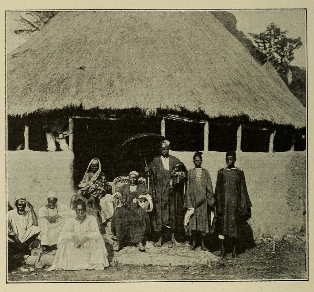 An illustration from La Guinée française: races, religions, coutumes, production, commerce, 1907, leaf 344
