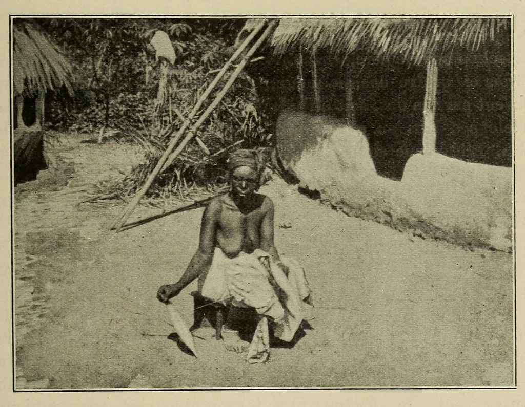 An illustration from La Guinée française: races, religions, coutumes, production, commerce, 1907, leaf 375