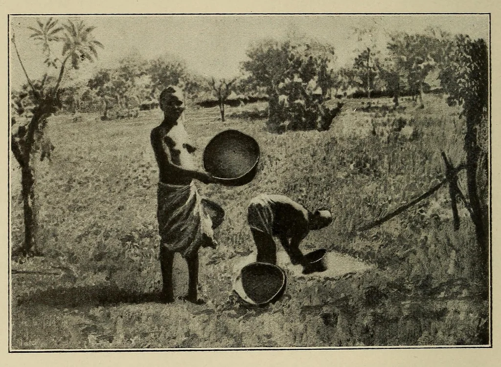 An illustration from La Guinée française: races, religions, coutumes, production, commerce, 1907, leaf 68