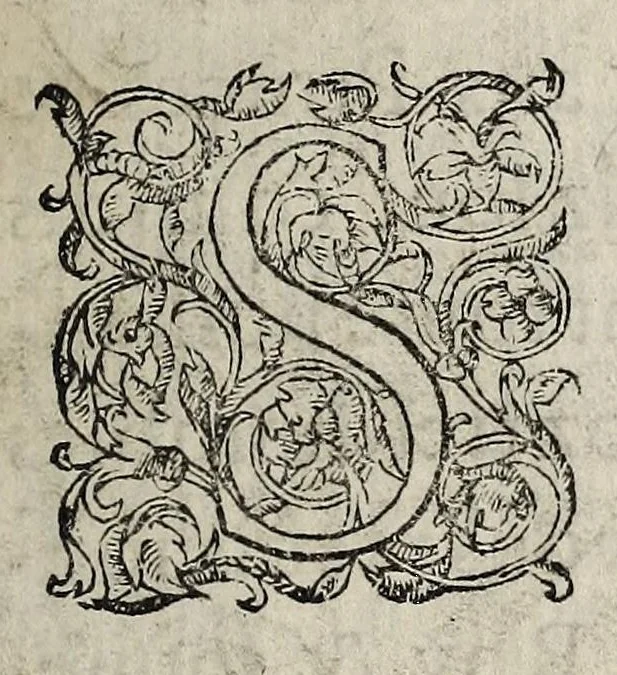 An illustration from La Harangue de par la noblesse de toute la France an Roy ... Charles neufiesme ... le premier jour de janvier 1560,, 1561, leaf 13