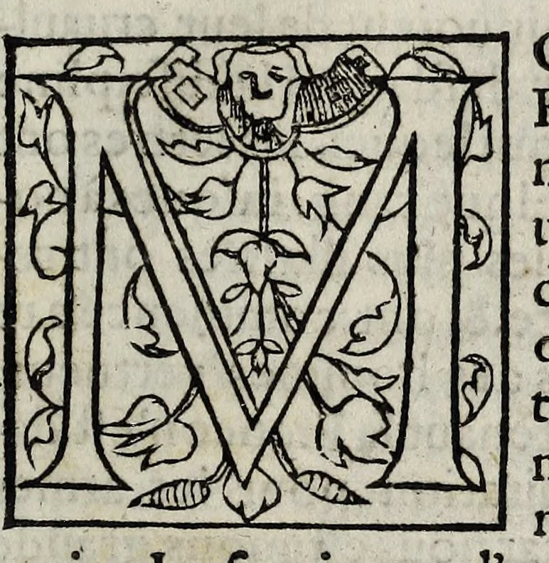 An illustration from La harangue de par la noblesse de toute la France, au roy tres-chrestien Charles neusiesme, tenant ses grans estatz en sa ville d'Orleans, le premier iour de ianuier, mil cinq cens soixante ..., 1561, leaf 3