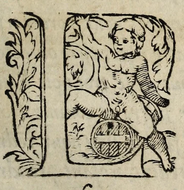 An illustration from La harangue du peuple et tiers estat de toute la France au roy tres-chrestien Charles Neusiéme, tenant ses Estats generaulx en sa ville d'Orlea[n]s la premier iour de ianuier 1560 ..., 1560, leaf 13