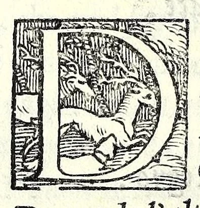 An illustration from La Hecvba; tragedia, 1543, leaf 66