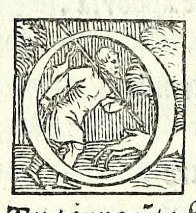 An illustration from La Hecvba; tragedia, 1543, leaf 82
