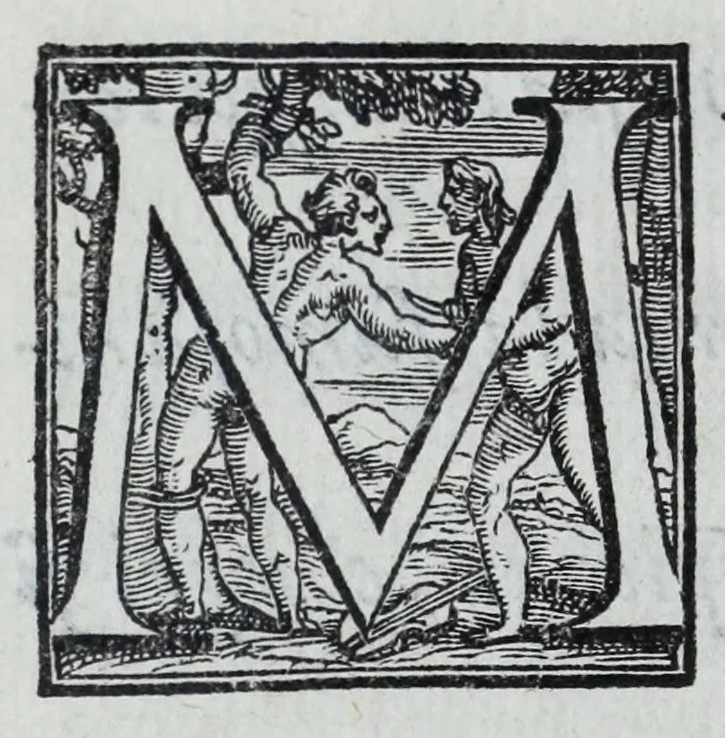 An illustration from La historia della città di Parma, et la descrittione del fivme Parma, 1591, leaf 12