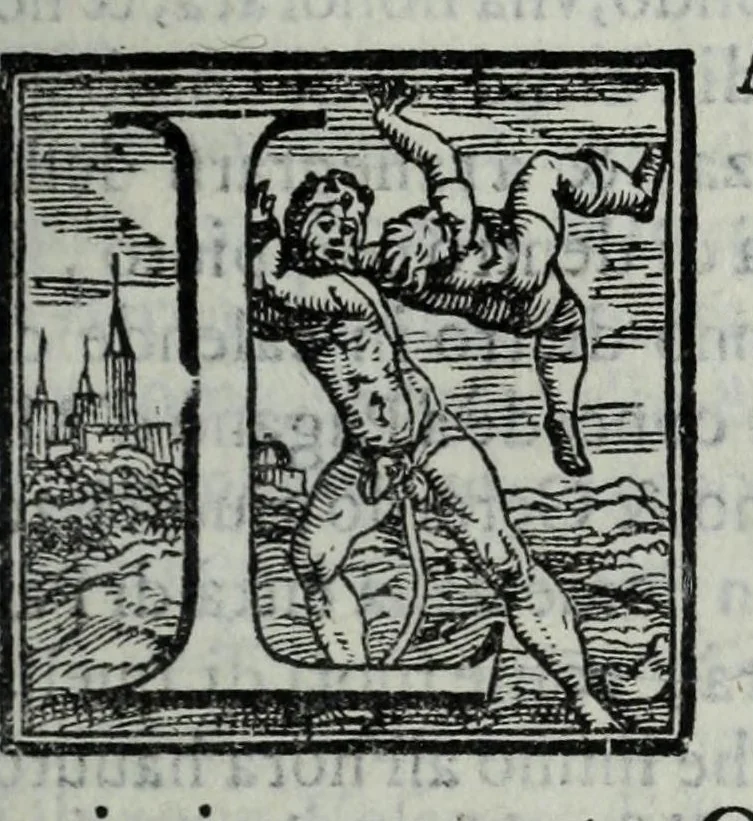 An illustration from La historia della città di Parma, et la descrittione del fivme Parma, 1591, leaf 131