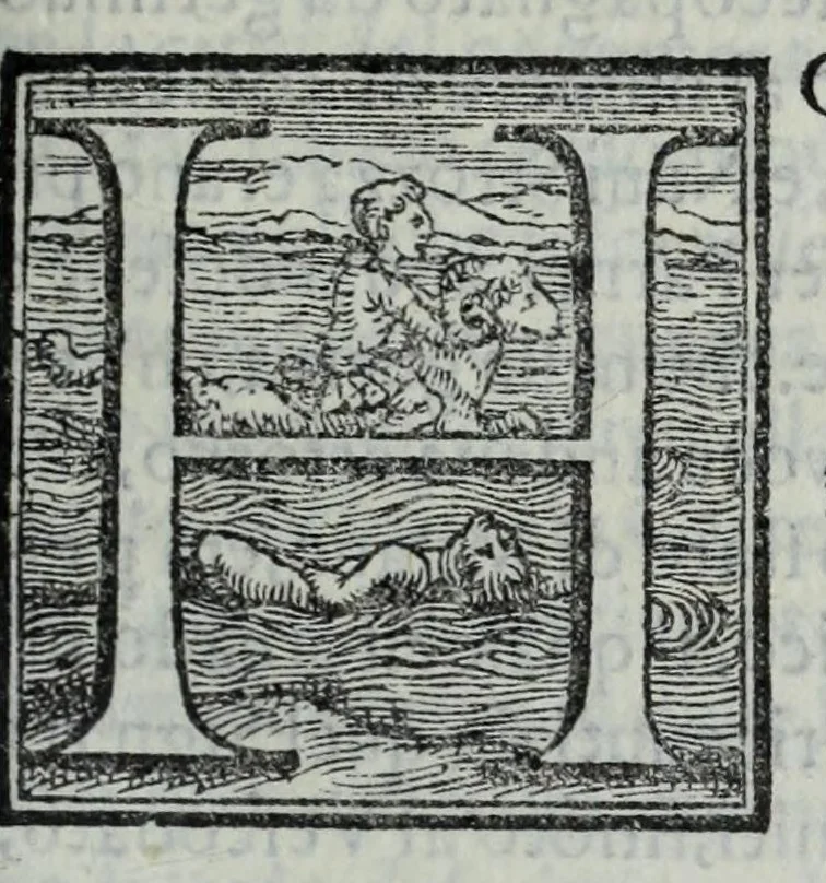 An illustration from La historia della città di Parma, et la descrittione del fivme Parma, 1591, leaf 251