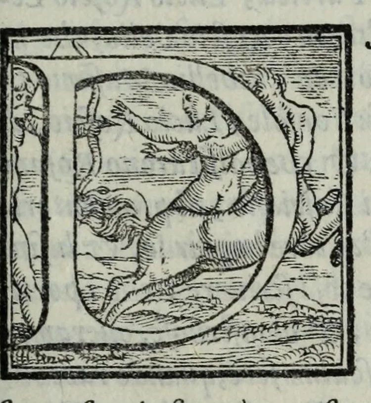 An illustration from La historia della città di Parma, et la descrittione del fivme Parma, 1591, leaf 337