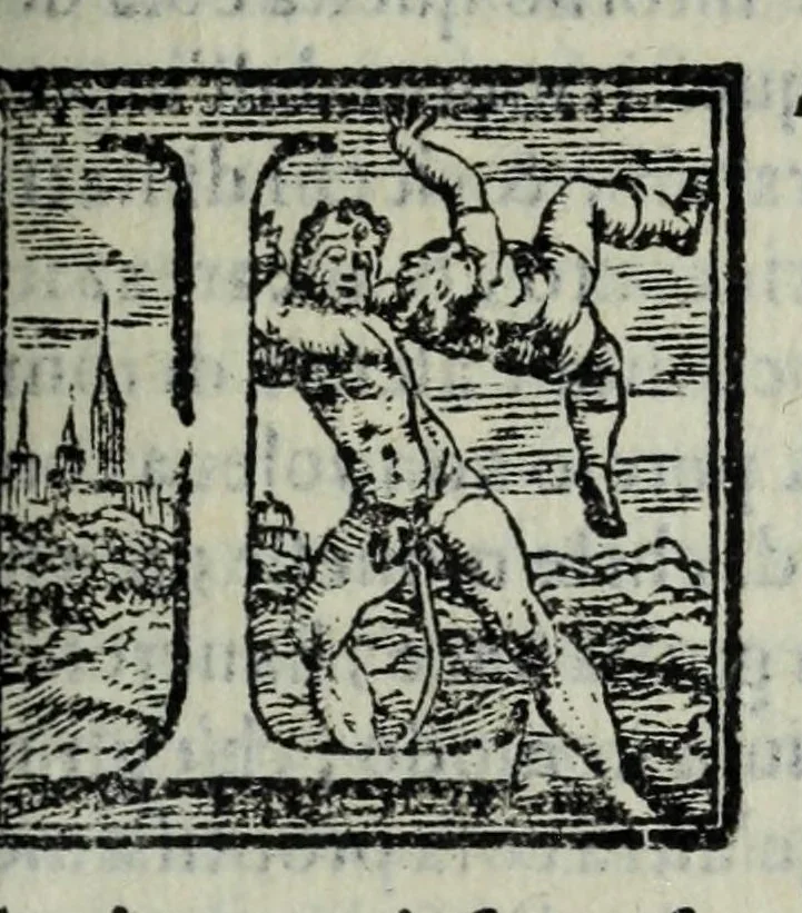 An illustration from La historia della città di Parma, et la descrittione del fivme Parma, 1591, leaf 685