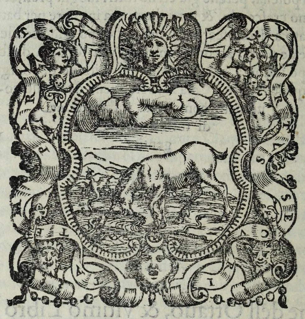 An illustration from La historia della città di Parma, et la descrittione del fivme Parma, 1591, leaf 816