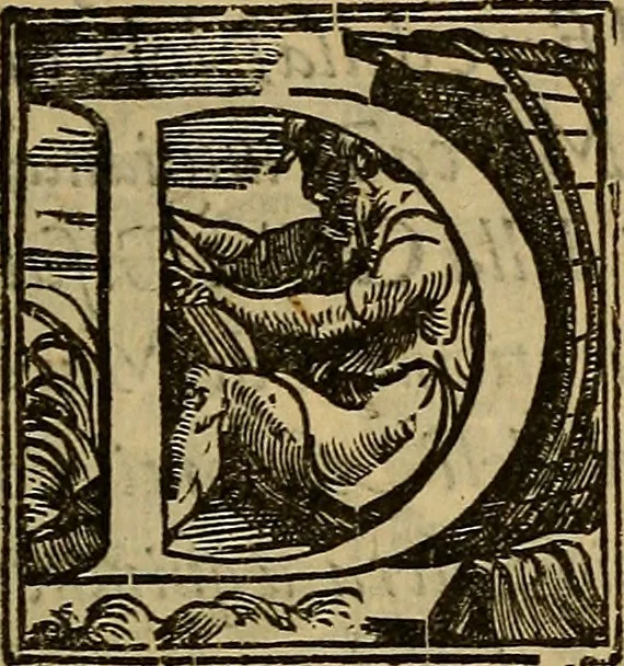 An illustration from La historia di Crema, 1566, leaf 12