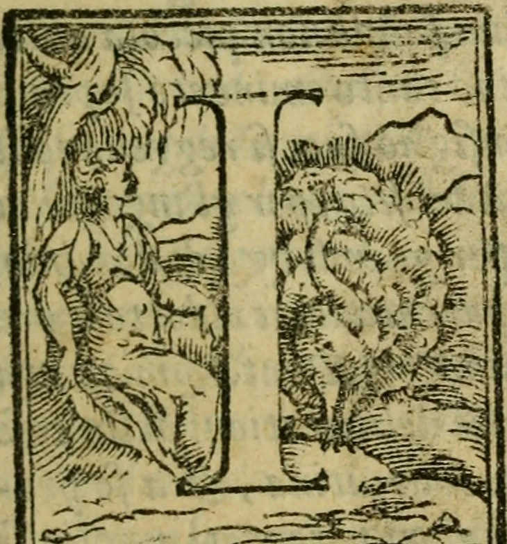 An illustration from La historia d'Italia ...: nuouamente rescontrata con tutti gli altri historici & auttori, che dell'istesse cose habbiano scritto: & ornata in margine con l'annotationi de' riscontri fatti da Thomaso Porcacchi da Castiglione Arretino. Con un Guidicio fatto dal medesimo, per discoprir tutte le bellezze di questa Historia: & una Raccolta di tutte le sententie sparse per l'opera: et con due tauole: una de gli auttori citati in margine; & l'altra delle cose notabili, 1574, leaf 110