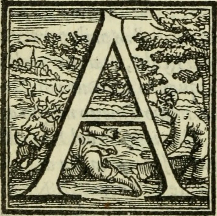 An illustration from La historia d'Italia ...: nuouamente rescontrata con tutti gli altri historici & auttori, che dell'istesse cose habbiano scritto: & ornata in margine con l'annotationi de' riscontri fatti da Thomaso Porcacchi da Castiglione Arretino. Con un Guidicio fatto dal medesimo, per discoprir tutte le bellezze di questa Historia: & una Raccolta di tutte le sententie sparse per l'opera: et con due tauole: una de gli auttori citati in margine; & l'altra delle cose notabili, 1574, leaf 1209