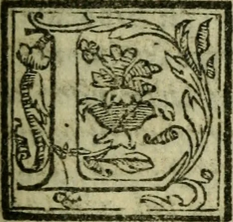 An illustration from La historia d'Italia ...: nuouamente rescontrata con tutti gli altri historici & auttori, che dell'istesse cose habbiano scritto: & ornata in margine con l'annotationi de' riscontri fatti da Thomaso Porcacchi da Castiglione Arretino. Con un Guidicio fatto dal medesimo, per discoprir tutte le bellezze di questa Historia: & una Raccolta di tutte le sententie sparse per l'opera: et con due tauole: una de gli auttori citati in margine; & l'altra delle cose notabili, 1574, leaf 248