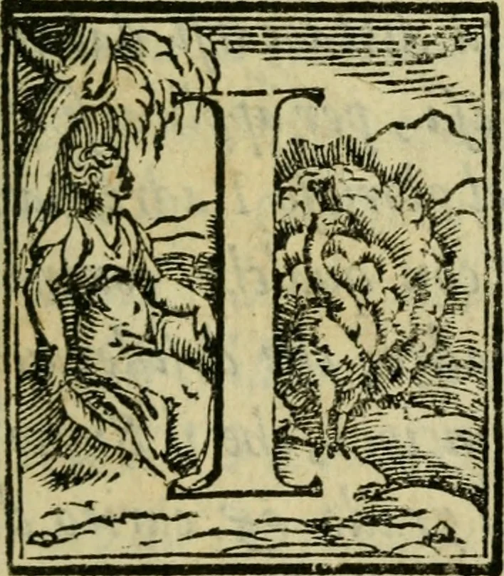 An illustration from La historia d'Italia ...: nuouamente rescontrata con tutti gli altri historici & auttori, che dell'istesse cose habbiano scritto: & ornata in margine con l'annotationi de' riscontri fatti da Thomaso Porcacchi da Castiglione Arretino. Con un Guidicio fatto dal medesimo, per discoprir tutte le bellezze di questa Historia: & una Raccolta di tutte le sententie sparse per l'opera: et con due tauole: una de gli auttori citati in margine; & l'altra delle cose notabili, 1574, leaf 8