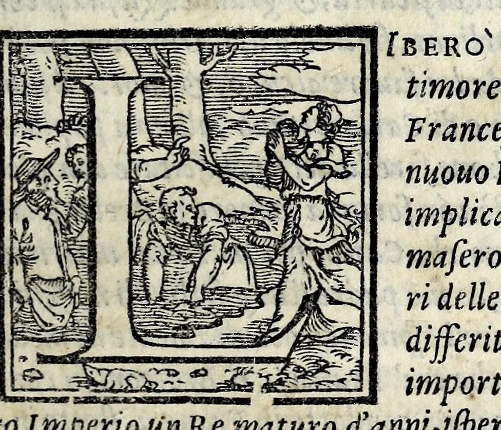 An illustration from La historia d'Italia, 1563, leaf 221