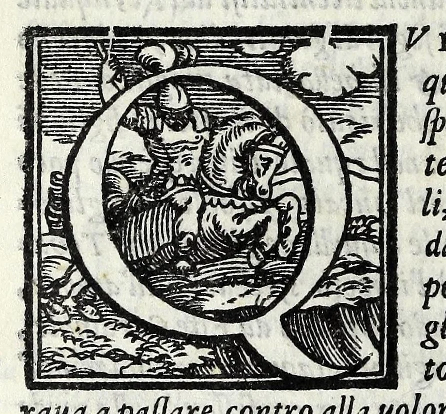 An illustration from La historia d'Italia, 1563, leaf 380