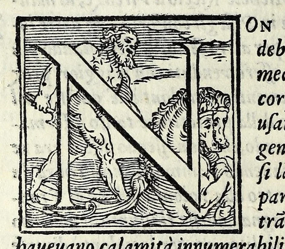 An illustration from La historia d'Italia, 1563, leaf 428