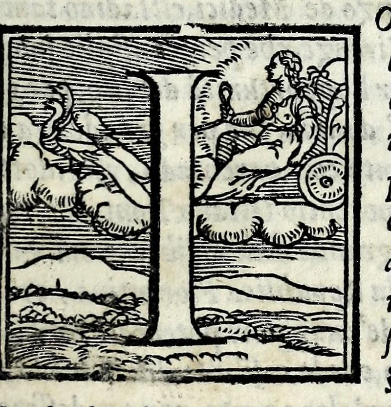 An illustration from La historia d'Italia, 1563, leaf 53