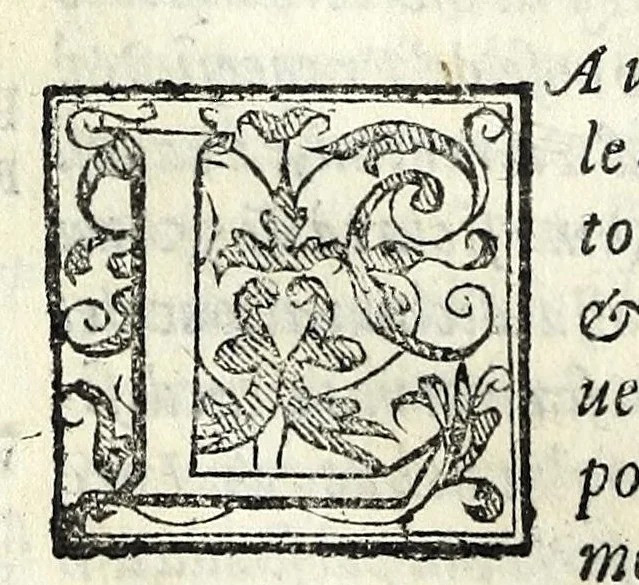 An illustration from La historia d'Italia, 1563, leaf 850