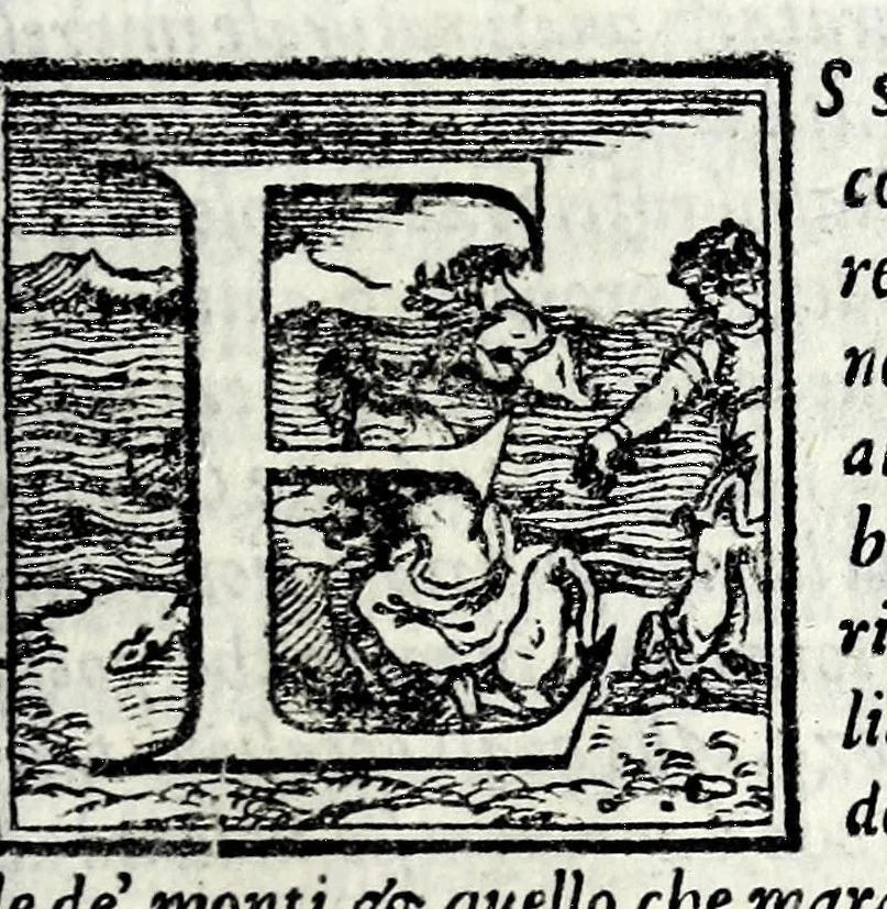 An illustration from La historia d'Italia, 1563, leaf 911
