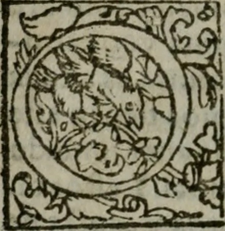 An illustration from La historia general delas Indias con todos los descubrimientos : y cosas notables que han acaescido enellas, dende que se ganaron hasta agora, 1554, leaf 37