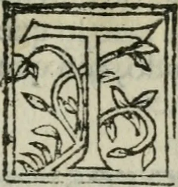 An illustration from La historia general delas Indias con todos los descubrimientos : y cosas notables que han acaescido enellas, dende que se ganaron hasta agora, 1554, leaf 8