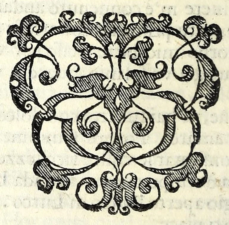 An illustration from La idropica : commedia, 1613, leaf 132