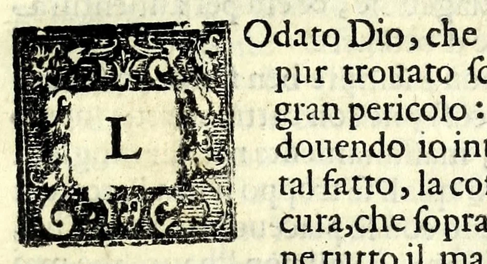 An illustration from La idropica : commedia, 1613, leaf 133