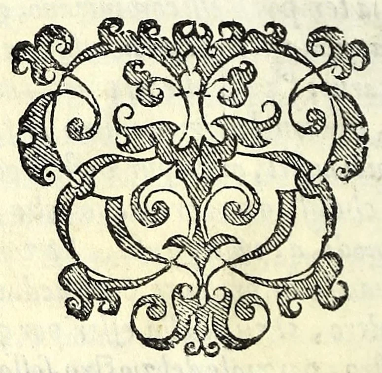 An illustration from La idropica : commedia, 1613, leaf 20