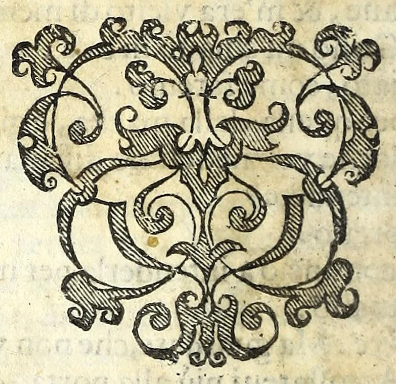 An illustration from La idropica : commedia, 1613, leaf 52