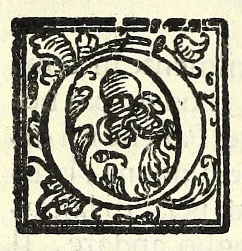 An illustration from La idropica : commedia, 1613, leaf 88