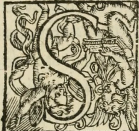 An illustration from La ioyevse entree dv Roy en sa ville de Troyes, capitale de la province de Champagne, le ieudy vingt cinquiesme iour de Ianuier, 1629, 1629, leaf 12