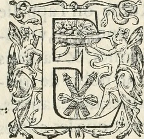 An illustration from La Ioyevse & magnifique entrée de Monseigneur Françoys, fils de France, et frere vnicqve dv Roy, par la grace de Dieu, Dvc de Brabant, d'Anjou, Alençon, Berri, &c. en sa tres-renommée ville d'Anvers, 1582, leaf 18