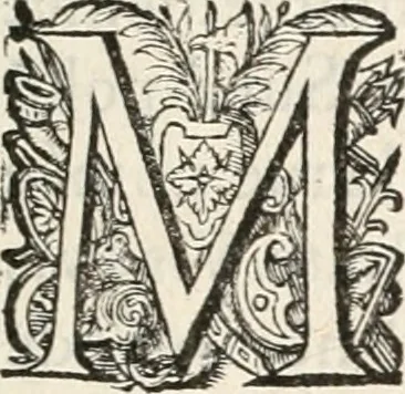 An illustration from La Ioyevse & magnifique entrée de Monseigneur Françoys, fils de France, et frere vnicqve dv Roy, par la grace de Dieu, Dvc de Brabant, d'Anjou, Alençon, Berri, &c. en sa tres-renommée ville d'Anvers, 1582, leaf 82