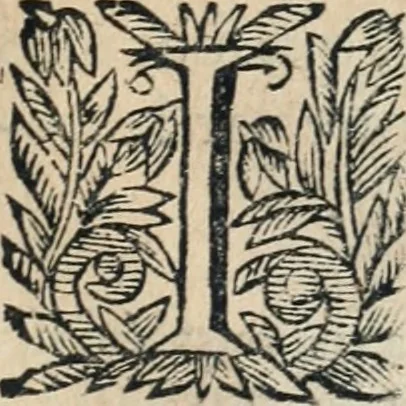 An illustration from La Jurisprudence du célèbre conseiller et jursiconsulte Guy Pape, dans ses décisions : Avec plusieurs remarques importantes, dans lesquelles sont entr'autres, employez plus de sept cens arrests du Parlement de Grenoble ..., 1692, leaf 204