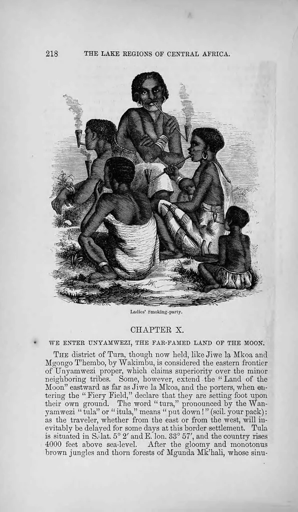 An illustration from The lake regions of Central Africa, a picture of exploration, 1860, leaf 224