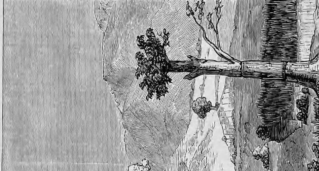 An illustration from The lake regions of Central Africa, a picture of exploration, 1860, leaf 466