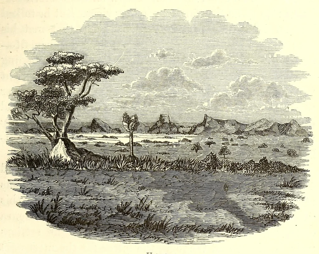 An illustration from The lake regions of Central Africa : a picture of exploration, 1860, leaf 275