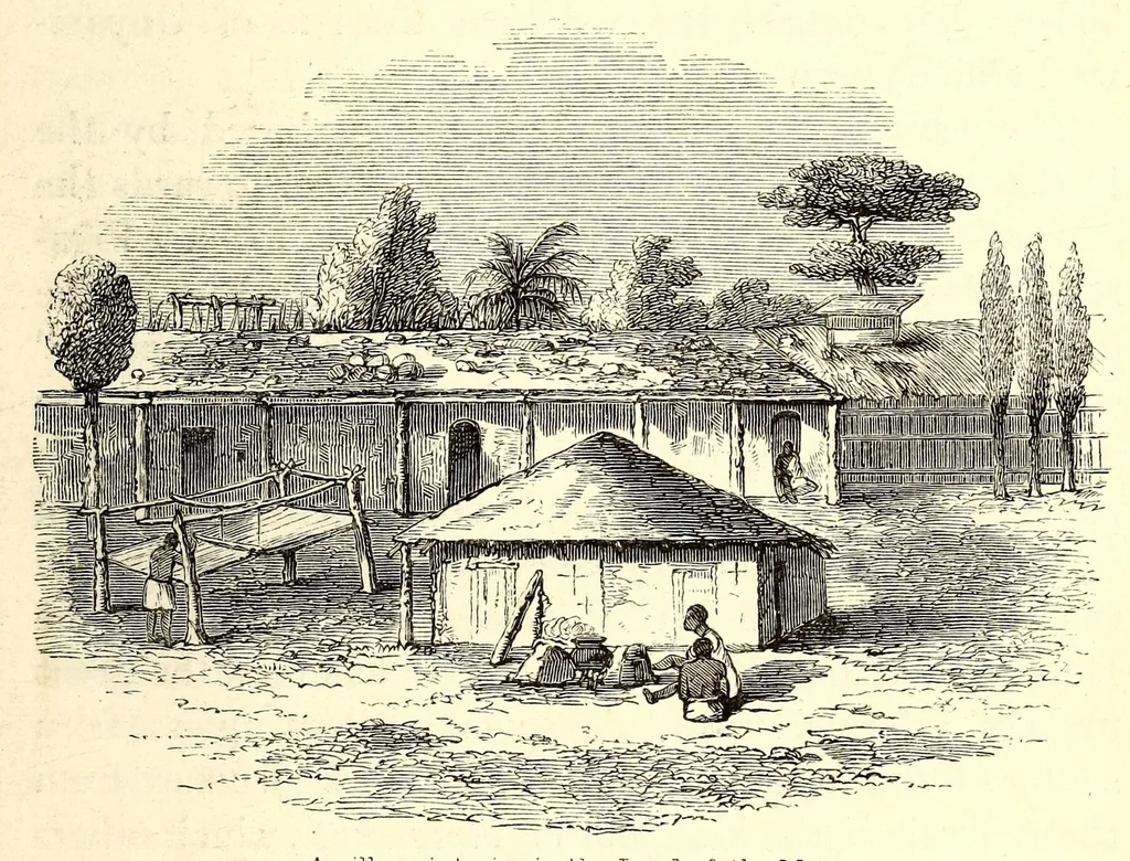 An illustration from The lake regions of Central Africa : a picture of exploration, 1860, leaf 19