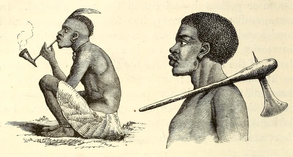 An illustration from The lake regions of Central Africa : a picture of exploration, 1860, leaf 350