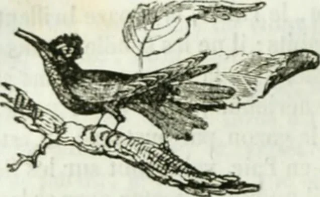 An illustration from La Lanterne magique : journal des choses curieuses et amusantes, 1833, leaf 179