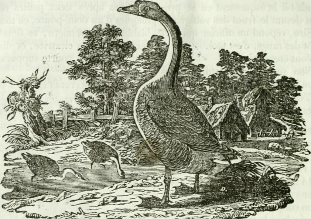 An illustration from La Lanterne magique : journal des choses curieuses et amusantes, 1833, leaf 235