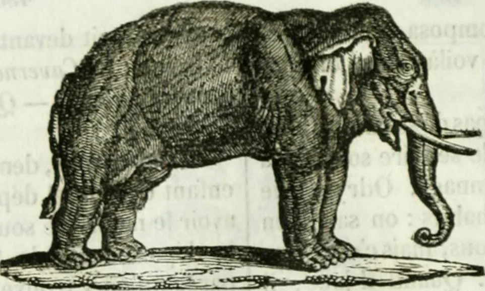 An illustration from La Lanterne magique : journal des choses curieuses et amusantes, 1833, leaf 283