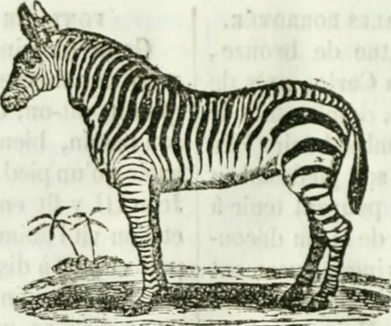 An illustration from La Lanterne magique : journal des choses curieuses et amusantes, 1833, leaf 315