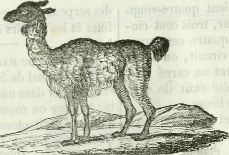 An illustration from La Lanterne magique : journal des choses curieuses et amusantes, 1833, leaf 331