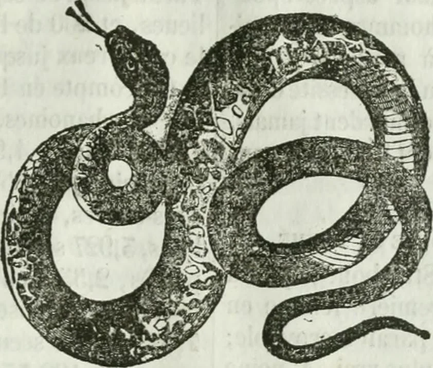 An illustration from La Lanterne magique : journal des choses curieuses et amusantes, 1833, leaf 344
