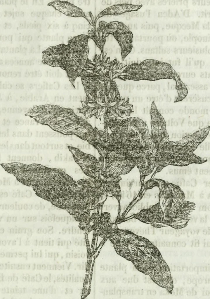 An illustration from La Lanterne magique : journal des choses curieuses et amusantes, 1833, leaf 382