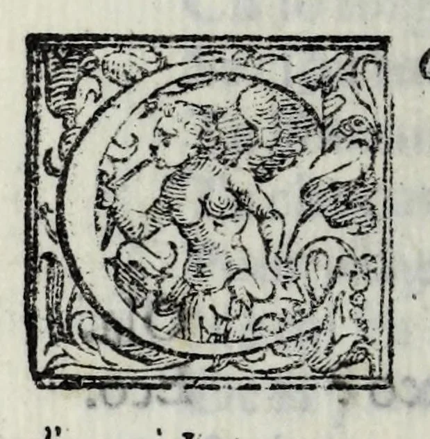 An illustration from L'Alceo : favola pescatoria, 1614, leaf 126