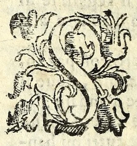 An illustration from L'alchimista : comedia, 1602, leaf 218